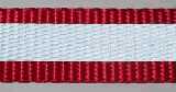 Reflective webbing 1-yard blue-3-4/blue-3-4/IMG_5524.JPG
